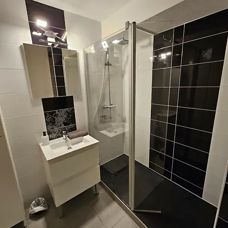 Apartmán L'ambassadeur - Parking - Calme - 5 Min Centre Pau