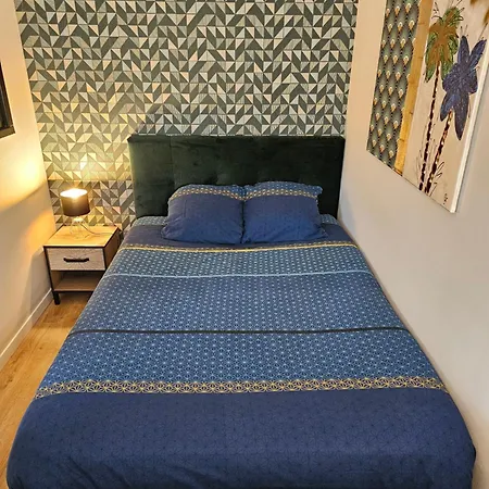 Apartment L'ambassadeur - Parking - Calme - 5 Min Centre Pau *